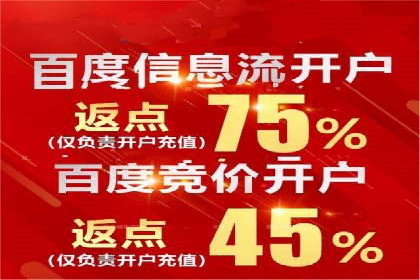 百度广告投放技巧与案例分享